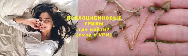 ГАЛЛЮЦИНОГЕННЫЕ ГРИБЫ Алзамай