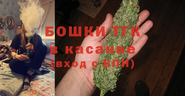 ГАЛЛЮЦИНОГЕННЫЕ ГРИБЫ Алзамай